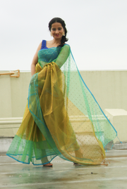 Dhoom Ketu (SAREE)