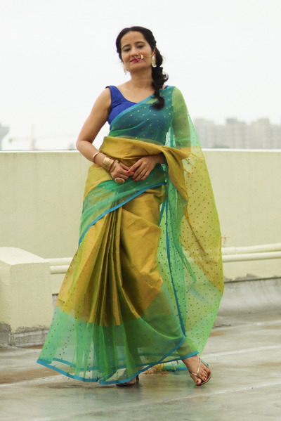 Muslin Silk Sequin Saree