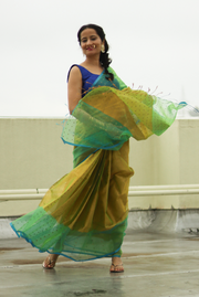 Dhoom Ketu (SAREE)